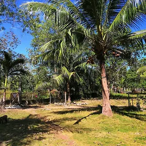 Walkerz Hostel Panglao